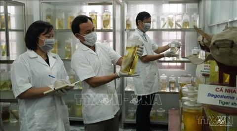 Kết nối chuyên gia, trí thức nhằm tạo động lực phát triển kinh tế biển