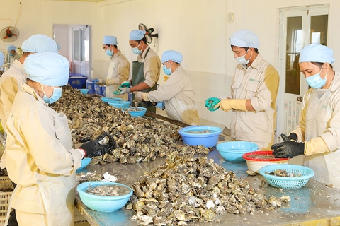 Chế biến sâu mở rộng đầu ra cho thủy sản nuôi biển