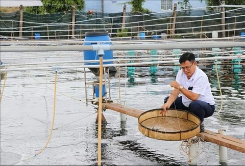 Công nghệ cao 'tiếp sức' ngành tôm