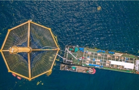 Siêu tàu Trung Quốc lớn gấp đôi Titanic: 'Nhà máy sản xuất protein' giữa đại dương