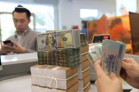 Vay tiền từ gói tín dụng 15.000 tỷ hỗ trợ lâm, thuỷ sản ở ngân hàng nào?