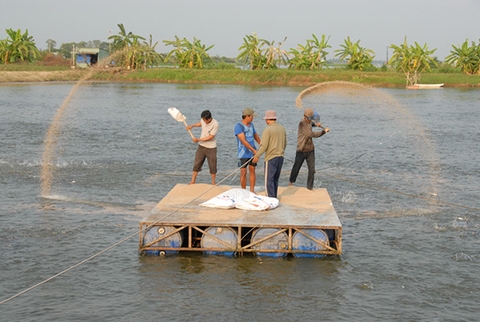 Tăng cường chỉ đạo nuôi trồng thủy sản các tháng cuối năm 2023