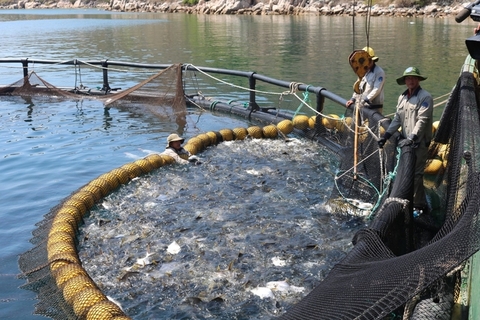 Địa phương cần chủ động giao mặt nước biển theo thẩm quyền