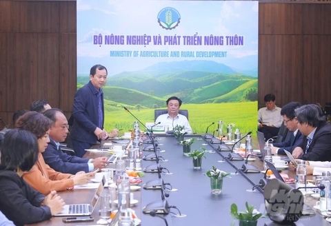 Kiến tạo không gian giá trị mới cho rong biển