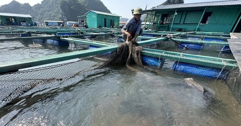 Nuôi loài đặc sản 