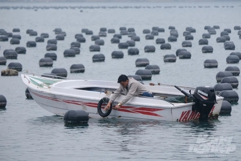 Xây dựng ngành hàng nuôi biển: [Bài 1] Những người mở biển