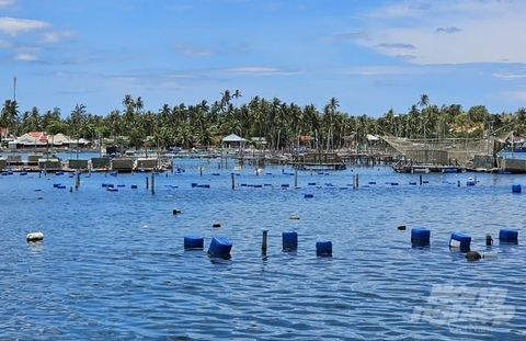 Xây dựng ngành hàng nuôi biển: [Bài 3] Sắp xếp không gian biển