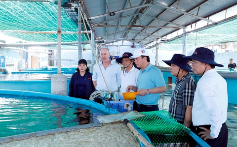 Bộ trưởng Đặng Quốc Khánh thăm mô hình nuôi trồng thủy sản thông minh tại khu vực Vịnh Vân Phong (Khánh Hòa)