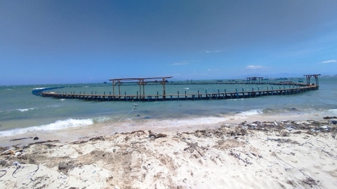 Nguyễn Bá Ngọc hạ thủy lồng HDPE nuôi mực và ốc hương lớn nhất thế giới