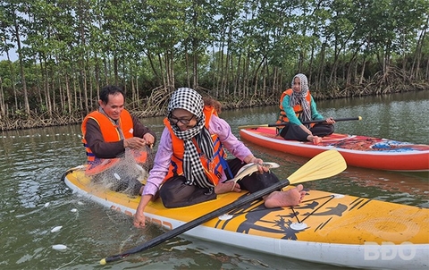 Nuôi con gì dưới rừng ngập mặn mà nông dân một xã của Bình Định cho người ta chèo thuyền đánh lưới?