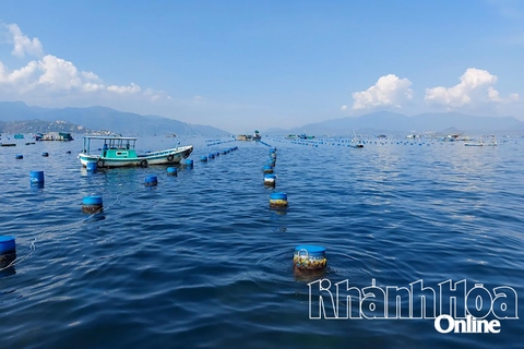 Quyết liệt giải tỏa lồng bè trên vịnh Cam Ranh