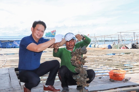 Bà Rịa – Vũng Tàu: Nông dân Long Sơn khá lên nhờ nuôi lồng bè