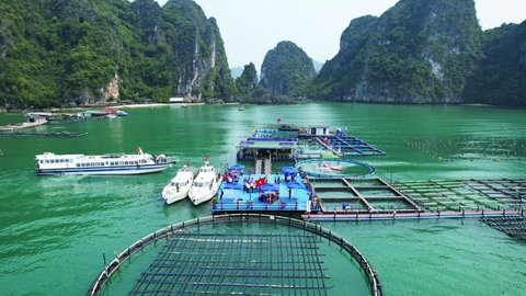 Đổi thay tích cực cho nghề nuôi biển: Tháo gỡ các nút thắt