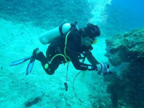 Đưa kiến thức bảo tồn biển vào trường học