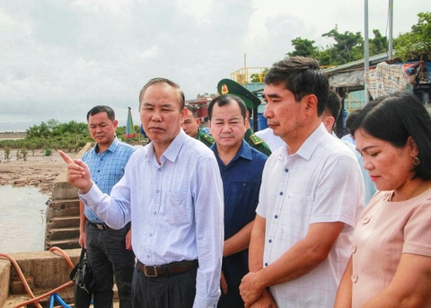 Hải Phòng cam kết 'một tháng hành động' để siết chặt quản lý tàu cá