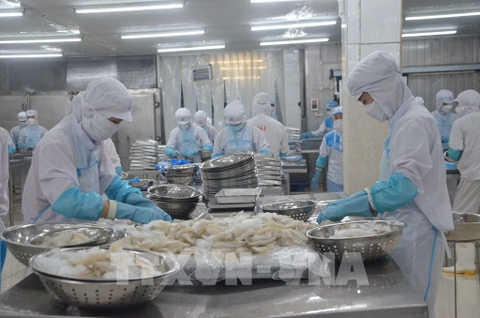 Đón đầu xu hướng, doanh nghiệp thủy sản vào cuộc xanh hóa