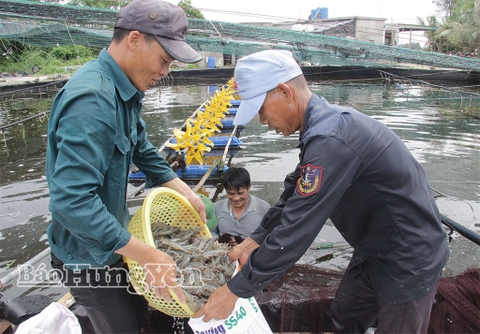 Nuôi trồng thủy sản theo hướng bền vững