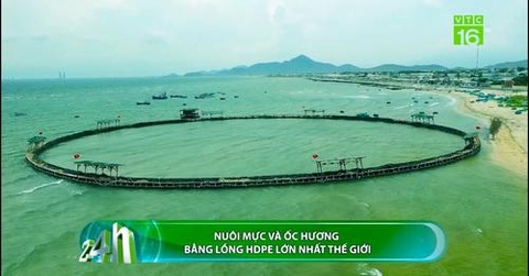 Nuôi mực, ốc hương trên biển bằng lồng HDPE lớn nhất thế giới