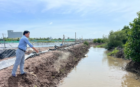 Phát triển vùng nuôi cua biển phục vụ xuất khẩu chính ngạch