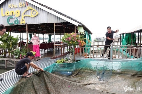 9X Cần Thơ kiếm tiền tỷ nhờ nuôi cá xanh kỳ, làm du lịch trên bè giữa sông Hậu