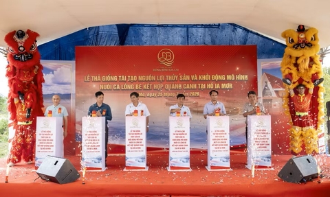 Thả giống tái tạo nguồn lợi thủy sản, khởi động mô hình nuôi cá lồng bè tại hồ Ia Mơr