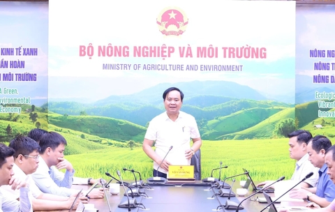 Gấp rút hợp nhất cơ sở dữ liệu nghề cá phục vụ chống khai thác IUU