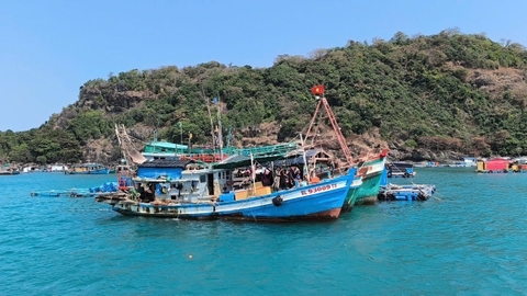 Ghi nhận hai loài san hô quý hiếm ở khu bảo tồn biển Cà Mau
