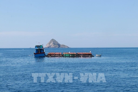 Phát triển kinh tế tư nhân: Động lực mới ở Khánh Hòa