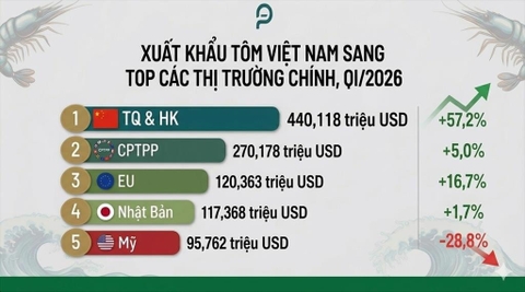 Trung Quốc chi 342 triệu USD 'gom sạch' tôm hùm Việt Nam, doanh nghiệp trong nước lên tiếng