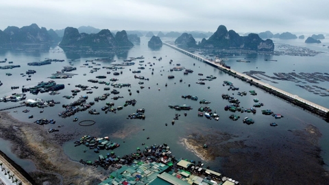 Thủy sản Việt Nam kiên cường trước 'gió ngược', vươn ra thế giới