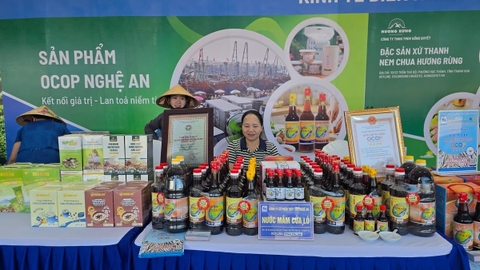 Tinh hoa sản vật vùng miền hội tụ phố biển Cửa Lò