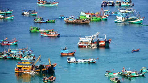 Nghị quyết 20-NQ/TW mở hướng phát triển thủy sản hiện đại, công nghệ cao và bền vững