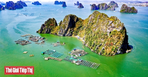 Quảng Ninh: Hàng chục HTX, doanh nghiệp có nguy cơ không được giao biển nếu chậm hoàn thiện hồ sơ