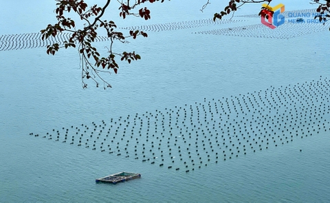 Giao biển để phát triển bền vững