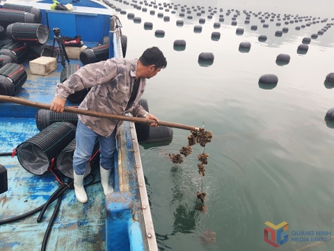 Ngành thủy sản bứt phá vượt bậc