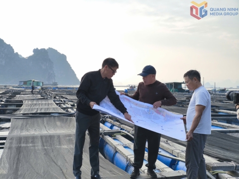 Đồng bộ trong quy hoạch, sắp xếp nuôi trồng thủy sản biển