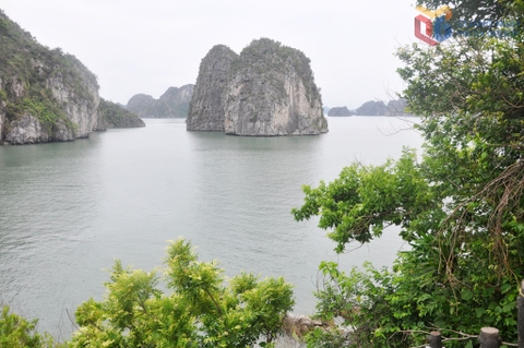 Sức hút tour xuyên vùng di sản vịnh Hạ Long - Lan Hạ