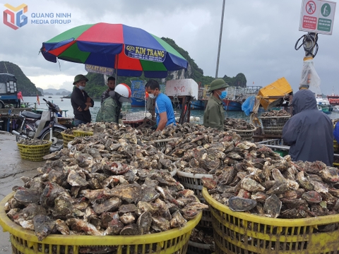 Giảm áp lực lên biển từ khâu chế biến thuỷ sản