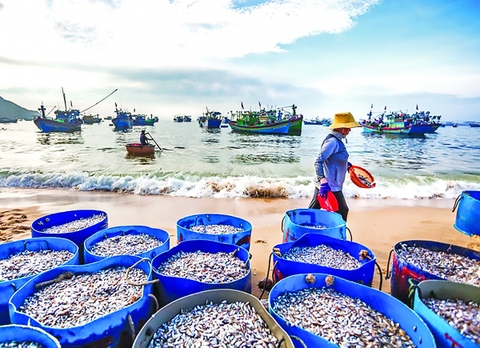 Mở không gian biển để dòng vốn ra khơi