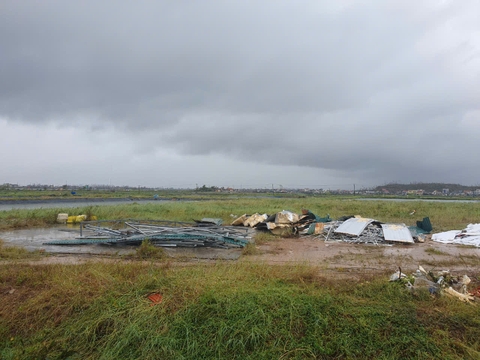 Trăm tấn tôm, nghìn tấn hàu “bốc hơi” sau bão Yagi, ông trùm thuỷ sản vẫn quyết giữ chân lao động, khôi phục sản xuất