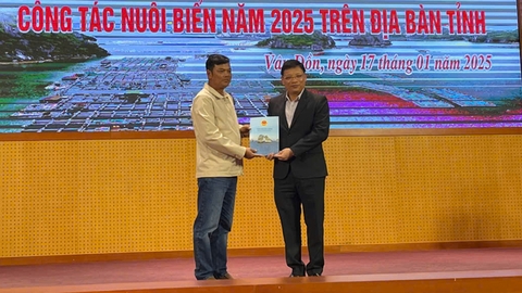 Quảng Ninh có 470 cá nhân và 1 hợp tác xã được giao mặt biển
