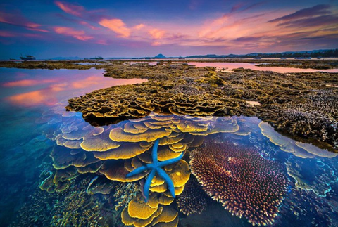 Việt Nam sắp có thêm một công viên địa chất toàn cầu được UNESCO công nhận