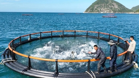 Thủy sản khẳng định vị thế ngành kinh tế mũi nhọn