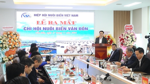 GIẢI PHÁP CỦA NGÀNH KH&CN QUẢNG NINH NHẰM THÚC ĐẨY PHÁT TRIỂN NGHỀ NUÔI BIỂN