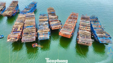 Chuyện lạ, ngư dân Quảng Ngãi bốc thăm 'chia đất' giữa biển khơi