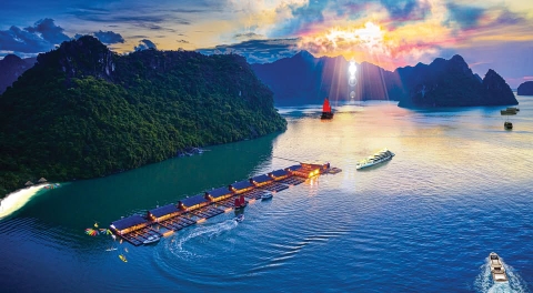 NHÀ BÈ HẢI PHONG – ĐIỂM ĐẾN TRẢI NGHIỆM GIỮA LÒNG VỊNH LAN HẠ TRONG MIỀN DI SẢN