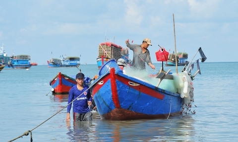 Hoàn thiện pháp luật biển cho kỷ nguyên mới