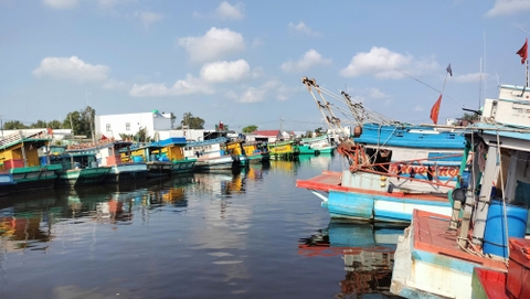 Ngư dân bám biển thế nào khi giá nhiên liệu tăng cao?