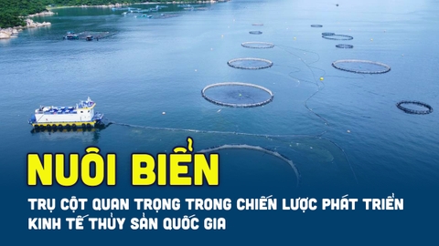 Nuôi biển công nghiệp: Trụ cột quan trọng trong chiến lược phát triển kinh tế thủy sản quốc gia