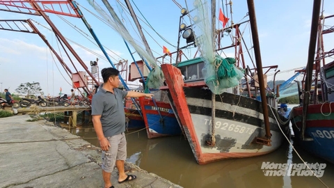 Càng ra khơi càng lỗ, ngư dân Thanh Hóa tiến thoái lưỡng nan